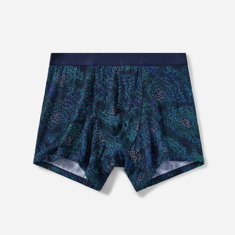 Silktouch TENCEL™ Modal Air Jacquard Waistband Boxer Brief